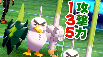 剣盾ネギガナイト