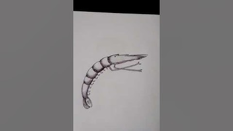 learn to draw trees | original video tutorials #satisfying #creativeart #drawingforbeginners