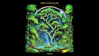 Chancha Via Circuito & El Búho - El Samurai ( 2024 ) - YouTube