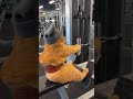 Angry Cat RAGES at Gym Machine