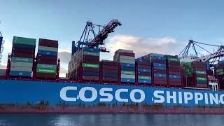 China export rebound lifts global trade hopes | REUTERS