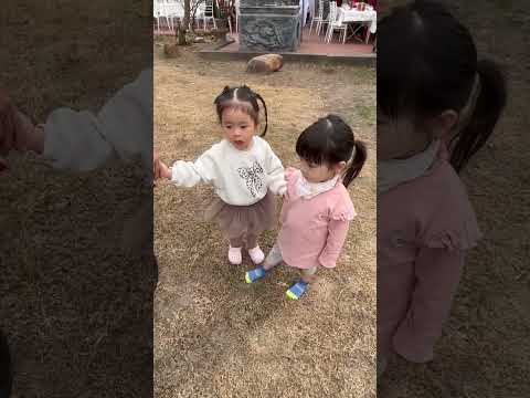 Hai Chị Em  lâu ngày không gặp nhau Thỏ & Bánh Gạo