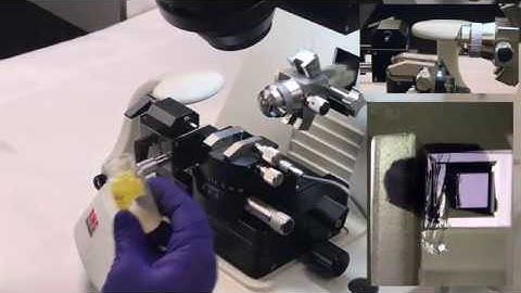 Glue Application for Serial Sectioning