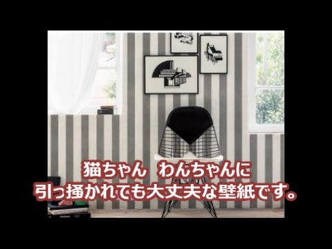 ペット用壁紙 ペット専用 内装リフォーム 八尾 東大阪 Youtube