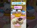 ちいかわむちゃでかプリンハウス ちいかわハチワレモモンガ参戦 ちいかわ ちいかわグッズ ハチワレ モモンガ Chiikawa Shorts ちいかわむちゃでかプリンハウス ちいかわハチワレモモンガ参戦 ちいかわ ちいかわグッズ ハチワレ モモンガ Chiikawa Shorts
