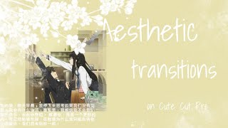 𝑨𝒆𝒔𝒕𝒉𝒆𝒕𝒊𝒄 𝒕𝒓𝒂𝒏𝒔𝒊𝒕𝒊𝒐𝒏𝒔 || 𝑪𝑪𝑷 || 𝒑𝒂𝒓𝒕 6