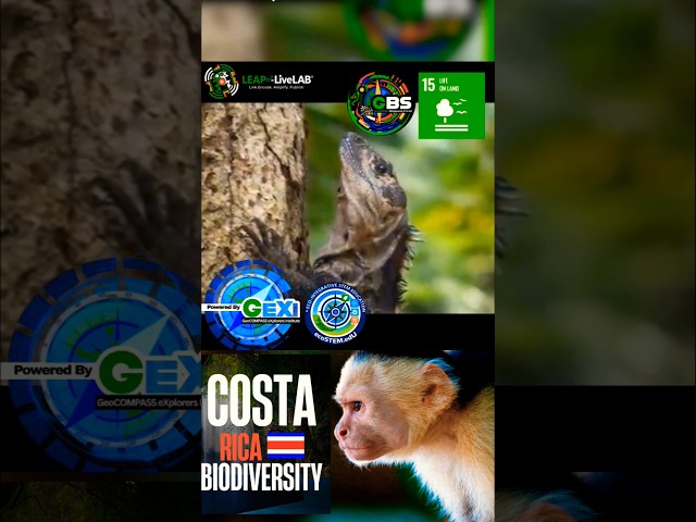 5% of Earth’s species. One country 🇨🇷 | With over ...