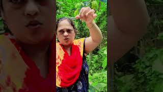 বাড়ির সবজি বাগান থেকে সবজি তুলতে মজায় আলাদা 🥰#longvedio#youtubevloggers #viralvedio #mychhanal🥰♥️👌