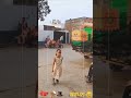 ਪੇਂਡੂ ਕਰਤੱਵ ਰੰਗ ਤਮਾਸ਼ੇ 🪘🎩#punjab #malwabelt #punjabi #pendu #stunts #amazing #newvideo #punjabilife