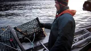 Pêche au homard à Percé