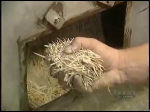 Video: How To Make Toothpicks
