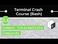 Intermediate Bash Commands (grep, sed, awk, tar, less, gzip)