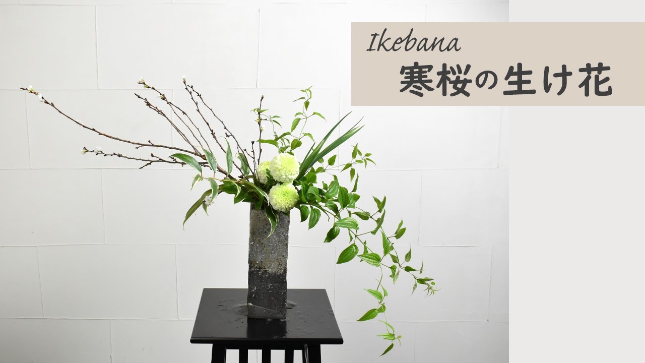 【寒桜の生け花】 初心者でもコツが分かればとっても簡単！ 生け方の基本からアレンジまでサクッと紹介。Japanese ikebana lesson for beginners