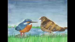 宮沢賢治の世界『よだかの星』