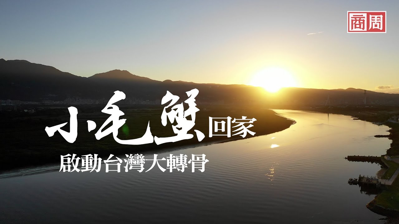 小毛蟹回家》人均GDP超韓趕日，淡水河迎來50年生態奇蹟，啟動台灣大轉骨｜封面故事摘要