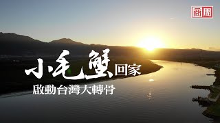 小毛蟹回家 啟動台灣大轉骨》前導短片｜封面故事摘要
