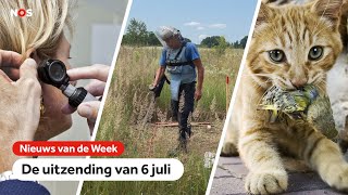 Huisartsen hebben het druk, explosieven onschadelijk gemaakt en katten  aangelijnd.