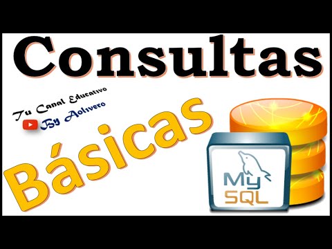 Cómo hacer Consultas