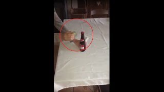 Hand Spinner Ouverture De Bouteille De Biére