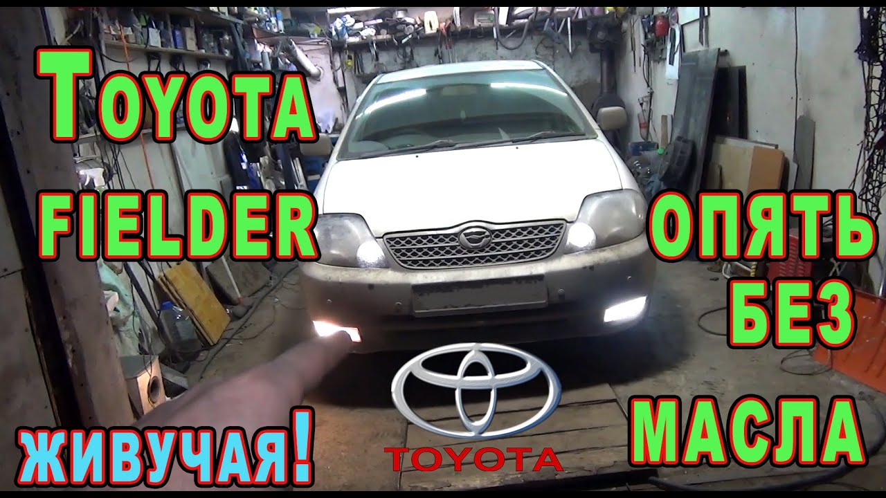 C1244 ошибка toyota