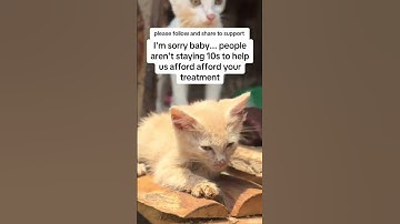 please consider donating to our PayPal link in bio on our Instagram page for support #donate