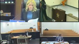 Judge Healis First Appearance November 18, 2020