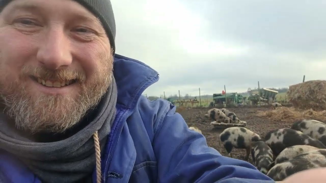 To po ile te świnie ? I jak to cały rok na polu ? #353