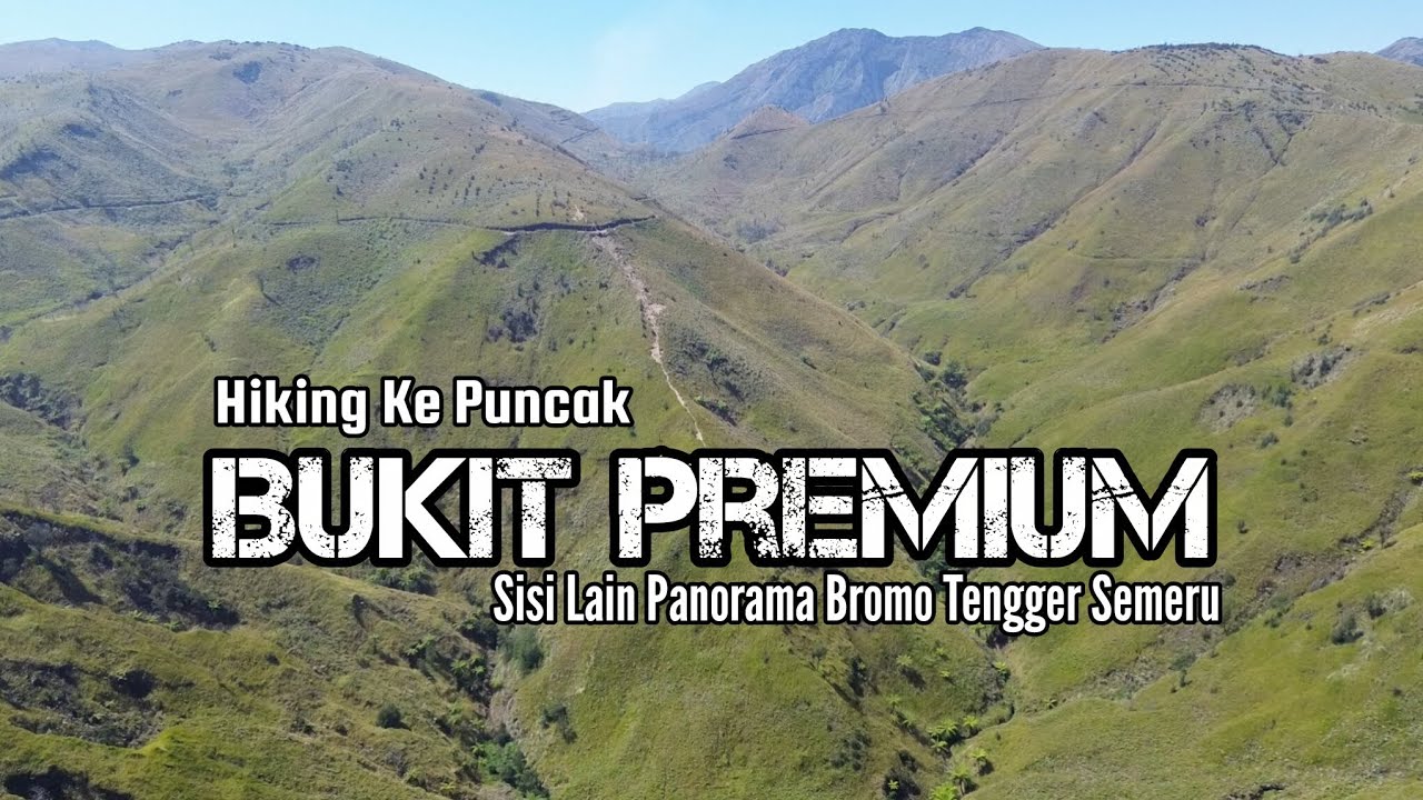 Pendakian BUKIT PREMIUM Tosari Pasuruan‼️ Pesona Padang Sabana Bromo Tengger Semeru‼️