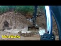 Draining Of Water From The Forest (Part: 2 of 2 )