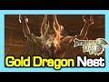 Gold Dragon Nest Trailer Geraint 2025 New 8 Men Raid Nest Dragon Nest