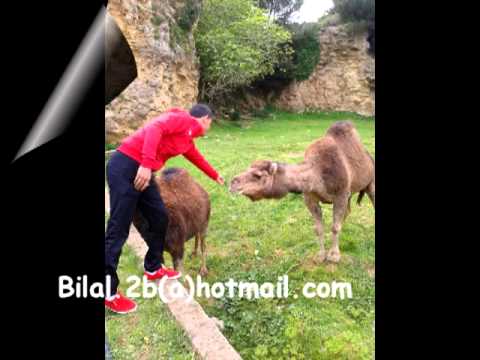 Cheb Khaled Al Harraga Bilal Toby بلال توبي الحراقة شاب خالد