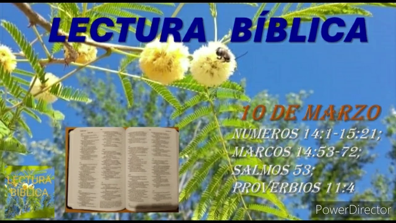 LECTURA BÍBLICA DIARIA - 10 DE MARZO