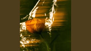 Soft Steps screenshot 2