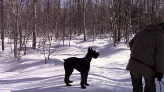 By The Cabin Episode 5