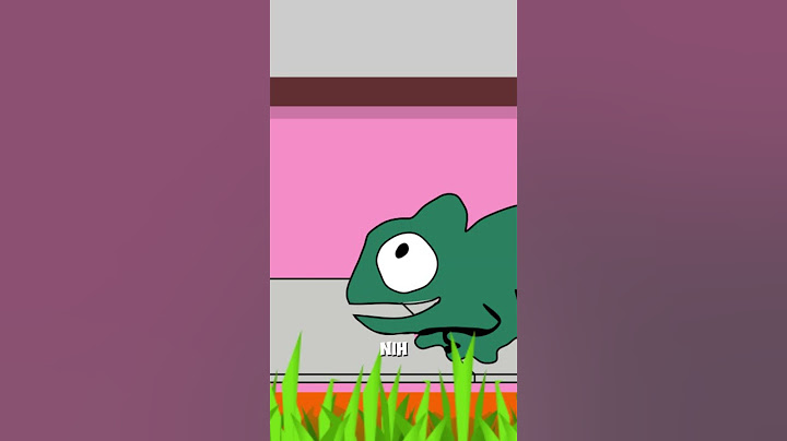 ADU KEMAMPUAN BUNGLON VS CICAK | Siapa yang keren menurutmu? #feedshorts #shorts #lucu