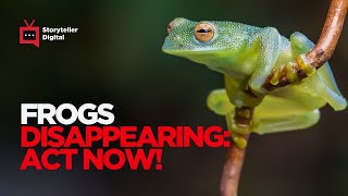The Vanishing Frogs: A Cry for Help