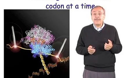 Carlos Bustamante: Single Molecule Manipulation in...