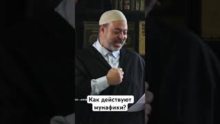 Как действуют мунафики? #quran #ислам #мунафик #грех #напоминание #исламскиезнания