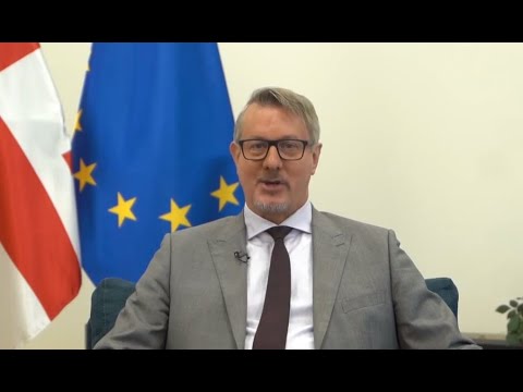 ევროკავშირის ელჩი არ ფიქრობს, რომ ნაც.მოძრაობის მიერ, მიშელის დოკუმენტზე ხელმოწერა დაგვიანებულია