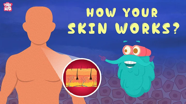 How Your Skin Works? - The Dr. Binocs Show | Best Learning Videos For Kids | Peekaboo Kidz - DayDayNews