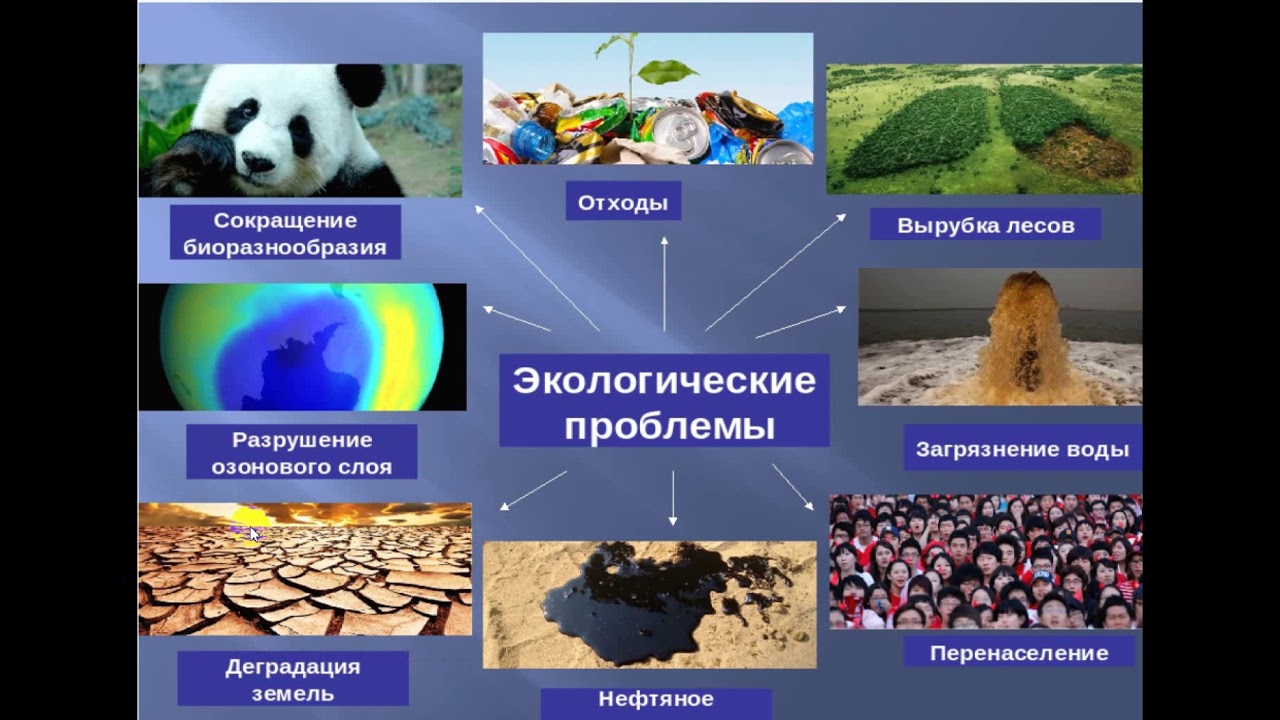 Сокращение видового разнообразия биосферы