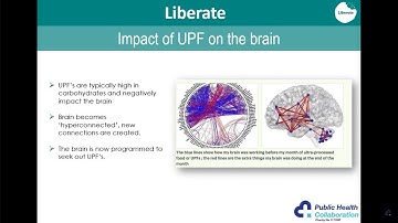 Introduction to Liberate // 8-week food addiction course with 12 months support