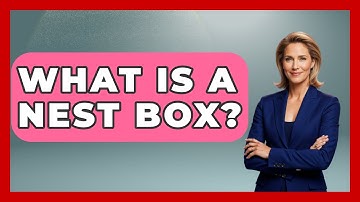 What Is A Nest Box? - Bird Watching Diaries