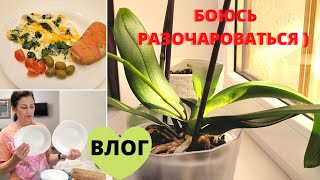 Открытие Магазина / ЧТО КУПИЛА ЗАВТРАК и УЖИН / Покупки для КУХНИ  /  ОБЗОР и  Цены на Продукты.