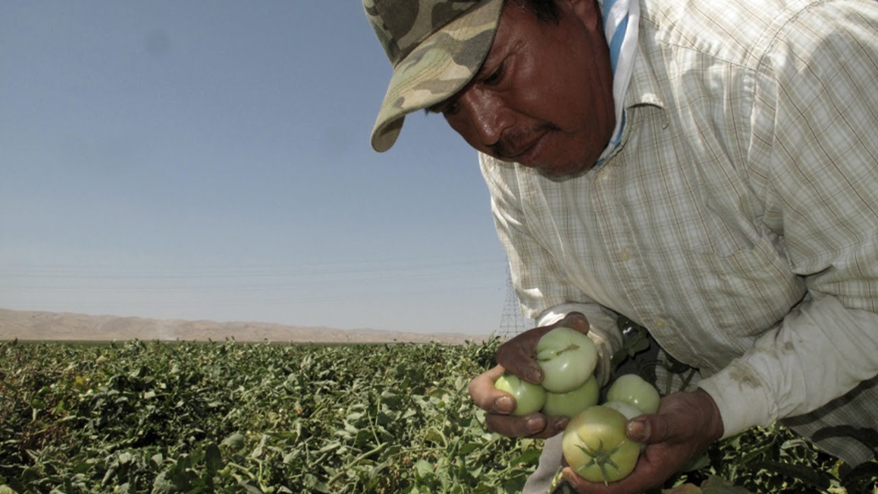 How Can We Make Farm Work Healthier?