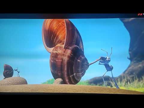 حياة حشرة A Bug S Lifeمدبلج عربي 