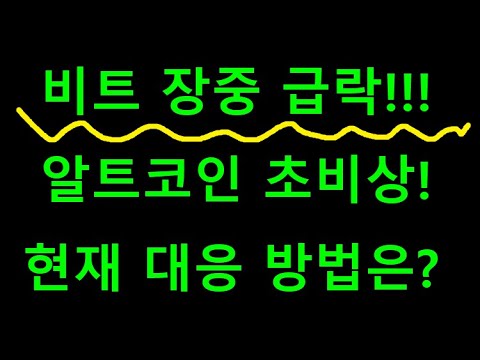 비트코인 장중 급락 - 알트코인 급락