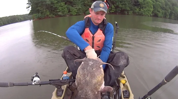 BIG Flathead Catfish Caught While Kayak Fishing