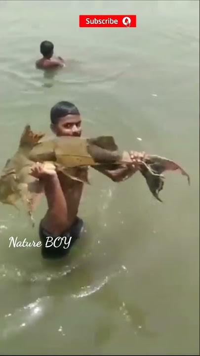 fishing fish by a  mallah boy in ganga river   #shorts #botanicalworldbyshabeer