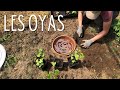 Oyas retour sur lutilisation de pots horticoles comme oyas